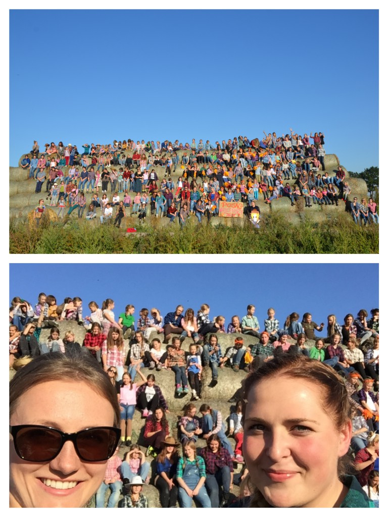 z201514Fotor_Collage
